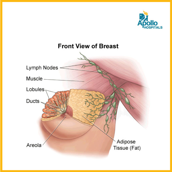 A complete guide to breast lumps